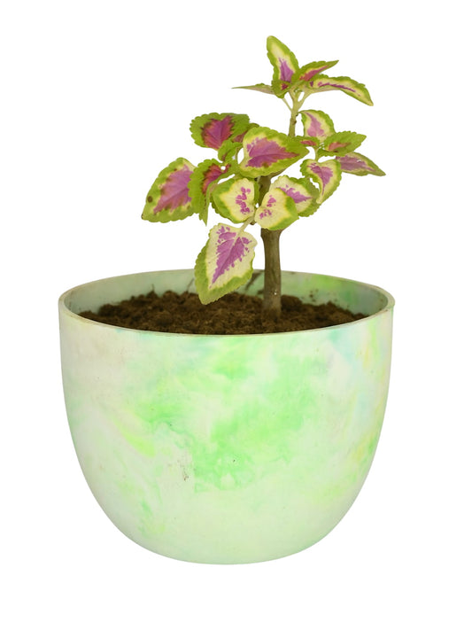 Green eco pot planter made from recycled plastic sustainable stylish plant holder for home and garden décor