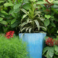 Eco friendly flower pot sustainable design made from recycled plastic for long lasting use