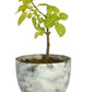Gray eco pot planter made from recycled plastic sustainable stylish plant holder for home and garden décor