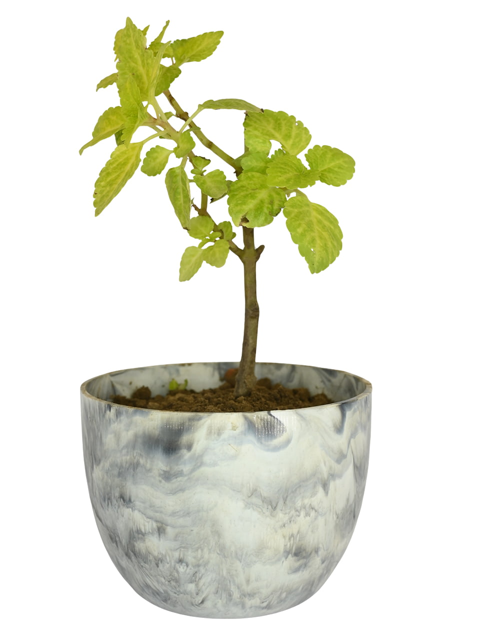 Gray eco pot planter made from recycled plastic sustainable stylish plant holder for home and garden décor