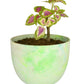 Green eco pot planter made from recycled plastic sustainable stylish plant holder for home and garden décor