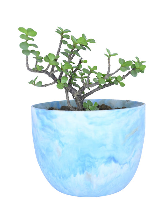 Eco pot planter made from recycled plastic sustainable stylish plant holder for home and garden décor